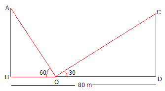NCERT Solutions - Chapter 9: Some Application of Trigonometry, Class 10, Maths