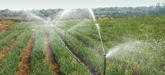 Hatiadeh Irrigation Project