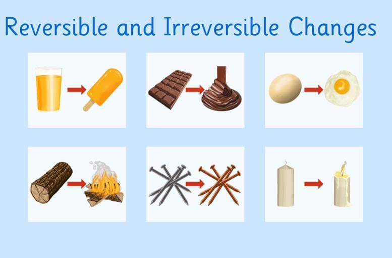 Class 7 Science Chapter 1 Very Short Question Answer - The Ever-Evolving World of Science