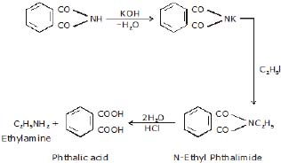 CBSE, Class 12, IIT JEE, Syllabus, Preparation, AIPMT, NCERT, Important, Amines, Compounds containing Nitrogen
