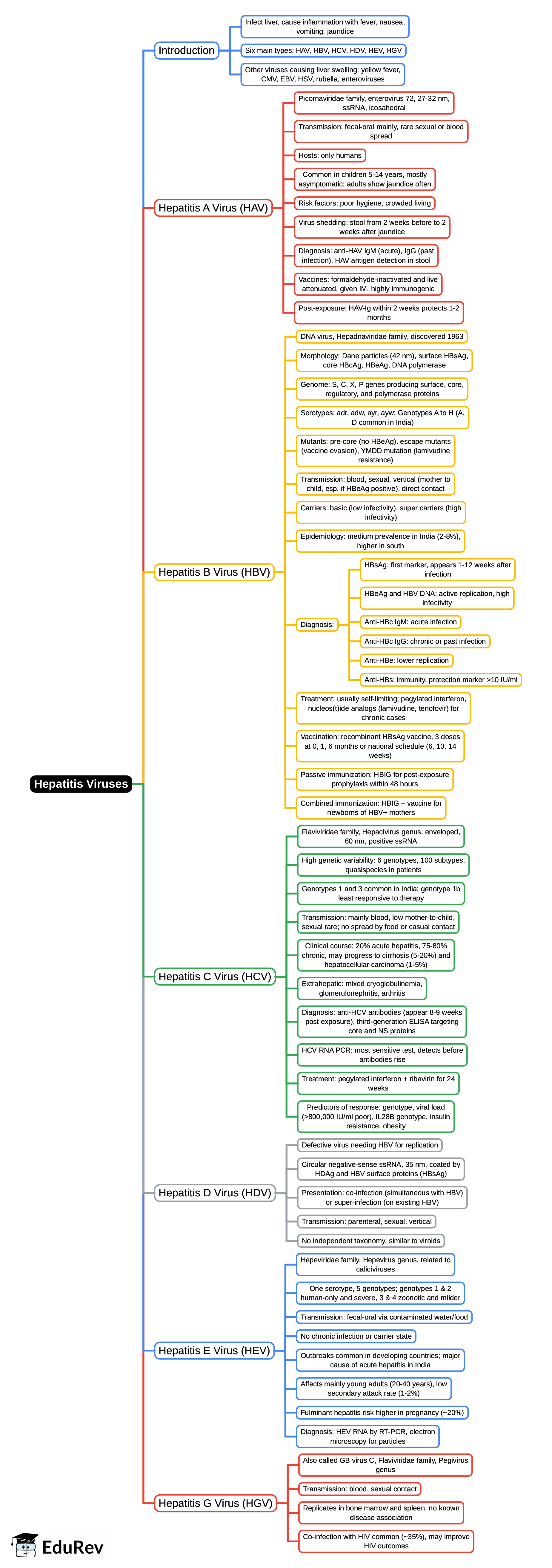 Mind Map: Hepatitis Viruses | Microbiology - NEET PG