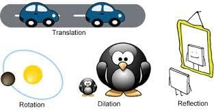 Position and Transformation | Year 8 Mathematics IGCSE (Cambridge) - Class 8