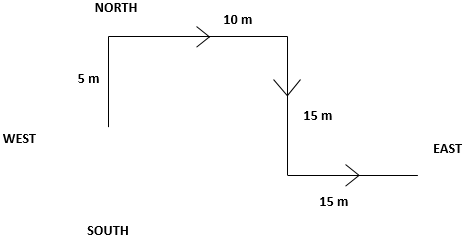 Section: Logical Reasoning
