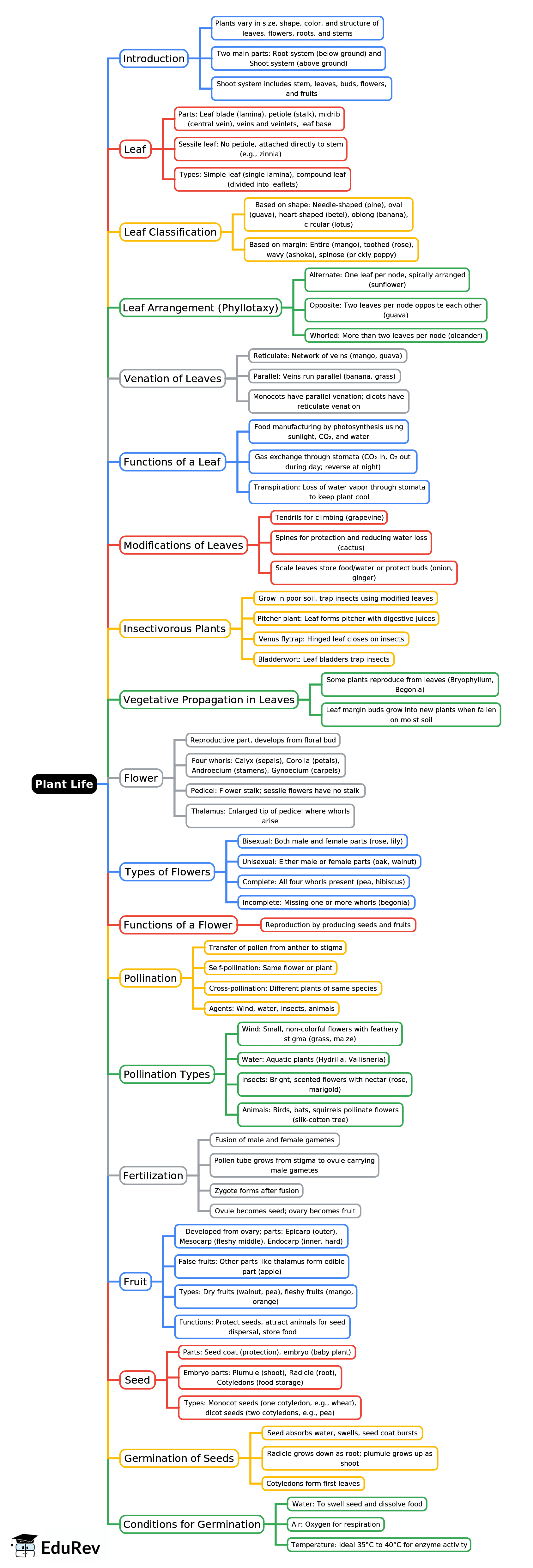 Mindmap: Plant Life | Biology Class 6 ICSE