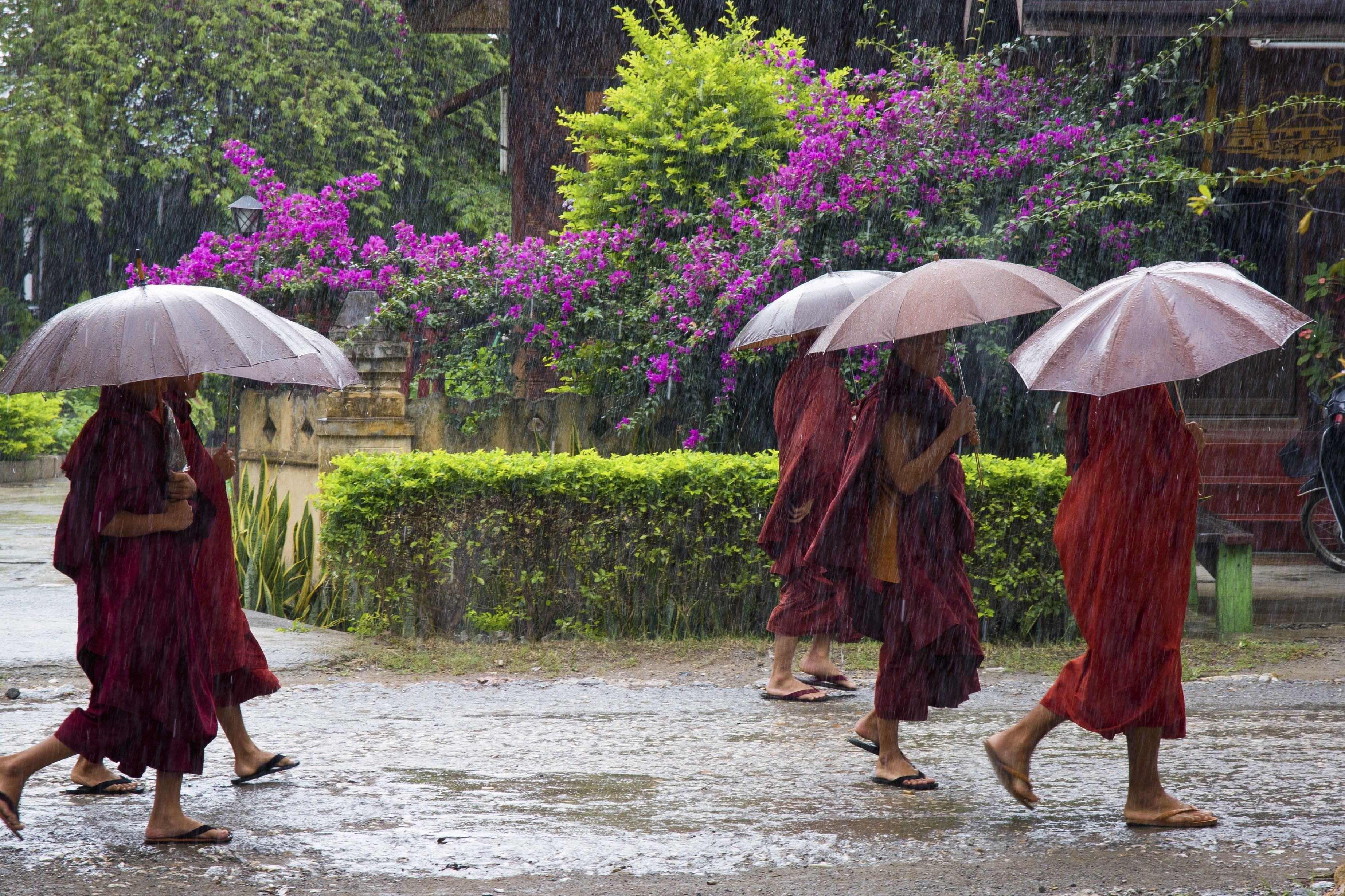 Class 7 Social Science Chapter 3 Let`s Explore - Climates of India