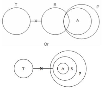 Syllogism Questions for CAT with Answers PDF