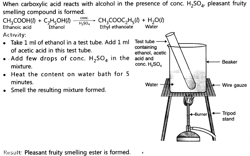 Carbon and its Compounds Important Questions Class 10 Science