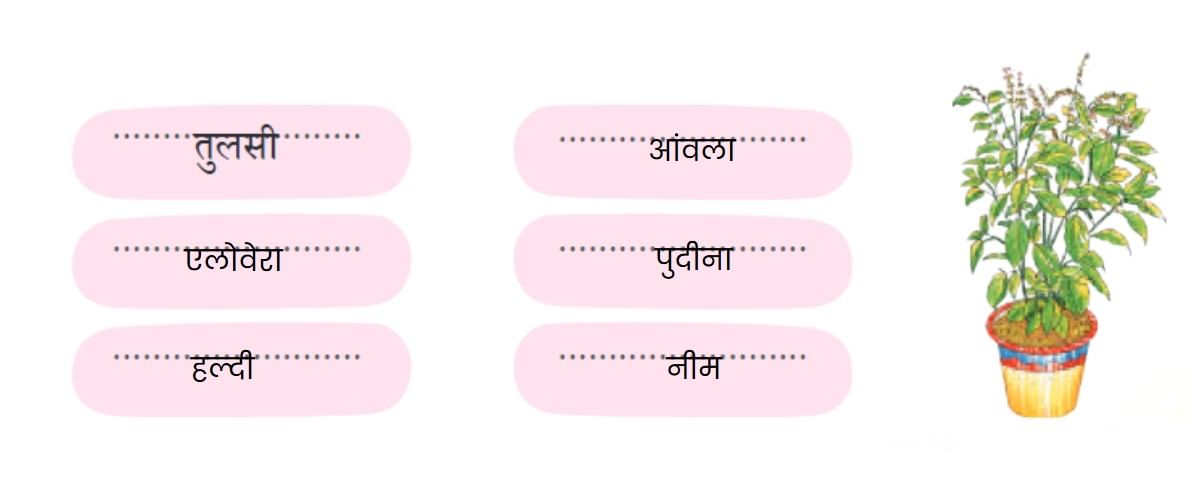 NCERT Solutions for Class 4 Hindi Chapter 3 - नीम
