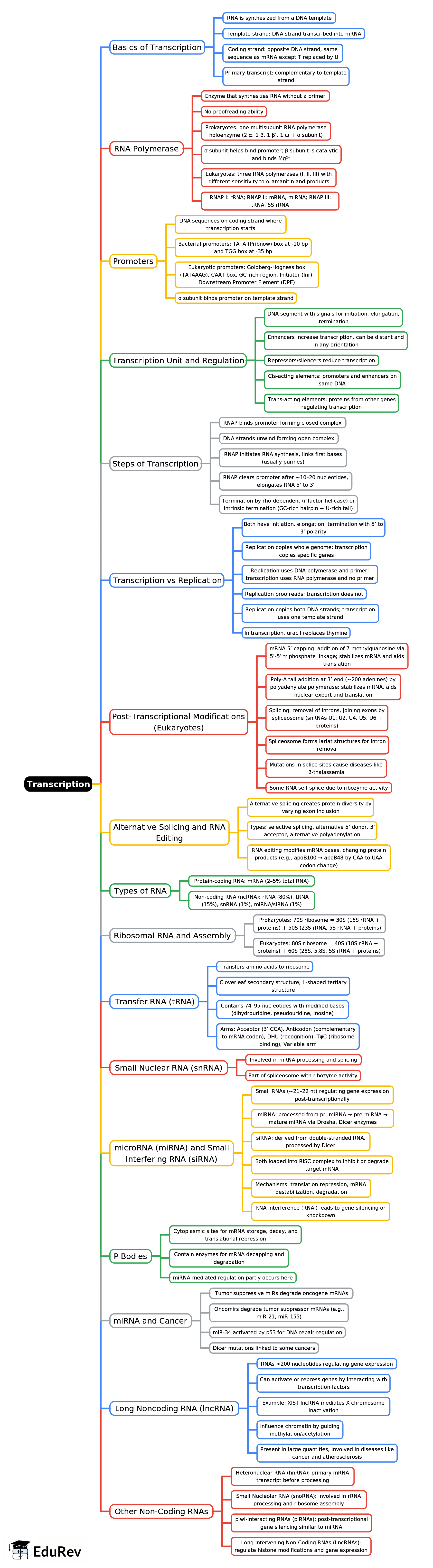Mind Map: Transcription