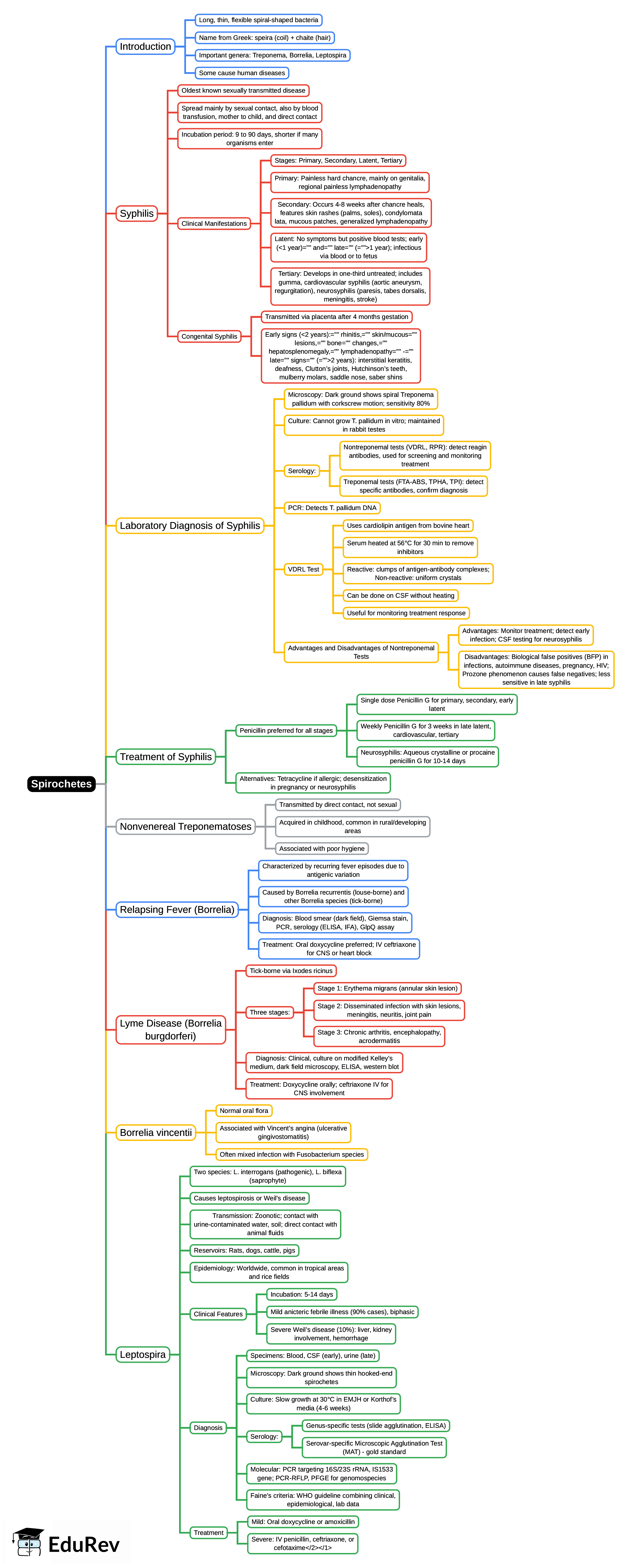 Mind Map: Spirochetes | Microbiology - NEET PG