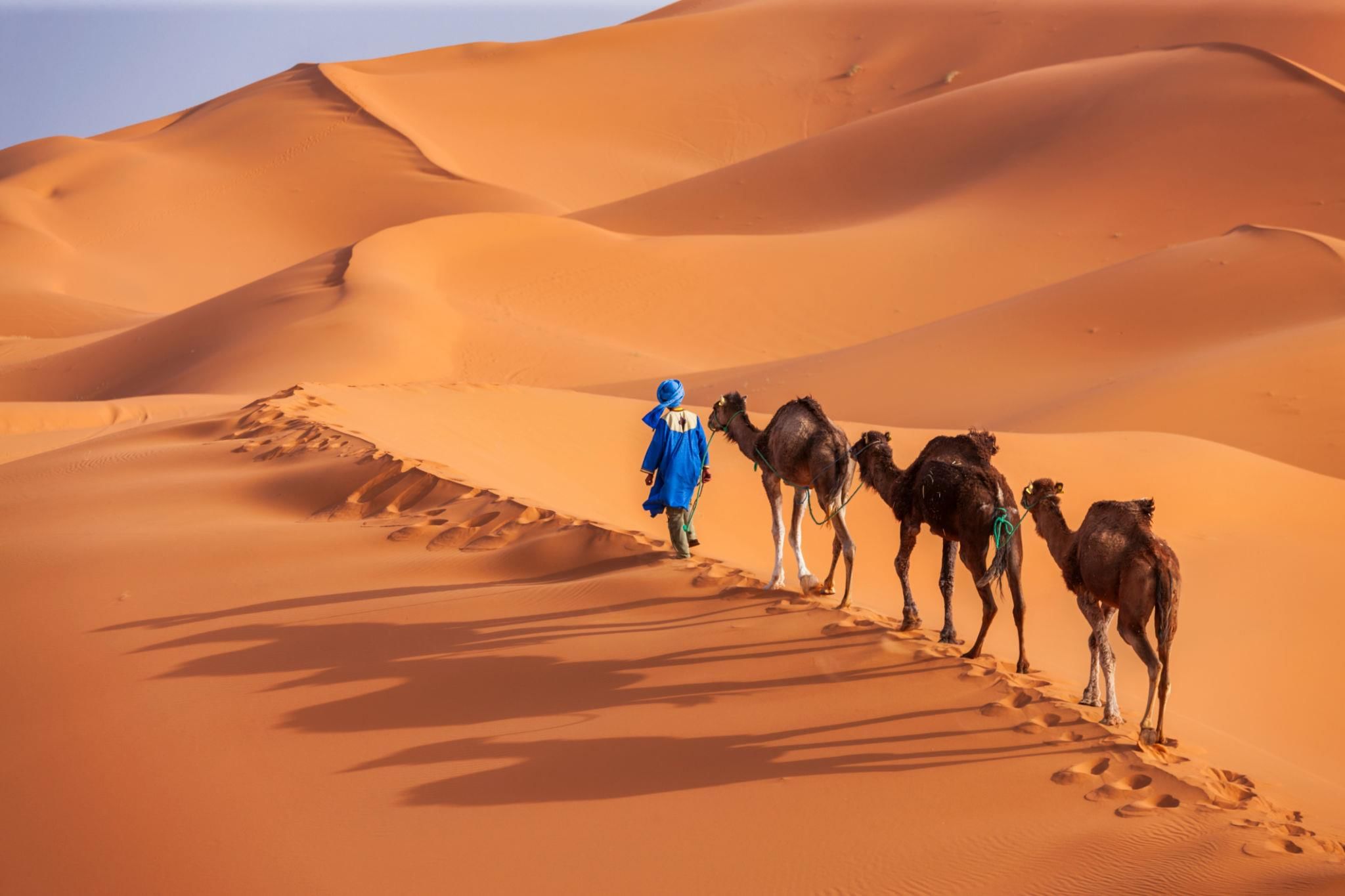 Class 7 Geography Chapter 7 Question Answers - Life in the Deserts