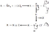 CBSE, Class 12, IIT JEE, Syllabus, Preparation, AIPMT, NCERT, Important, Amines, Compounds containing Nitrogen