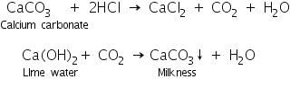 Theory & Procedure, Qualitative Analysis of Anions | Additional Study Material for NEET
