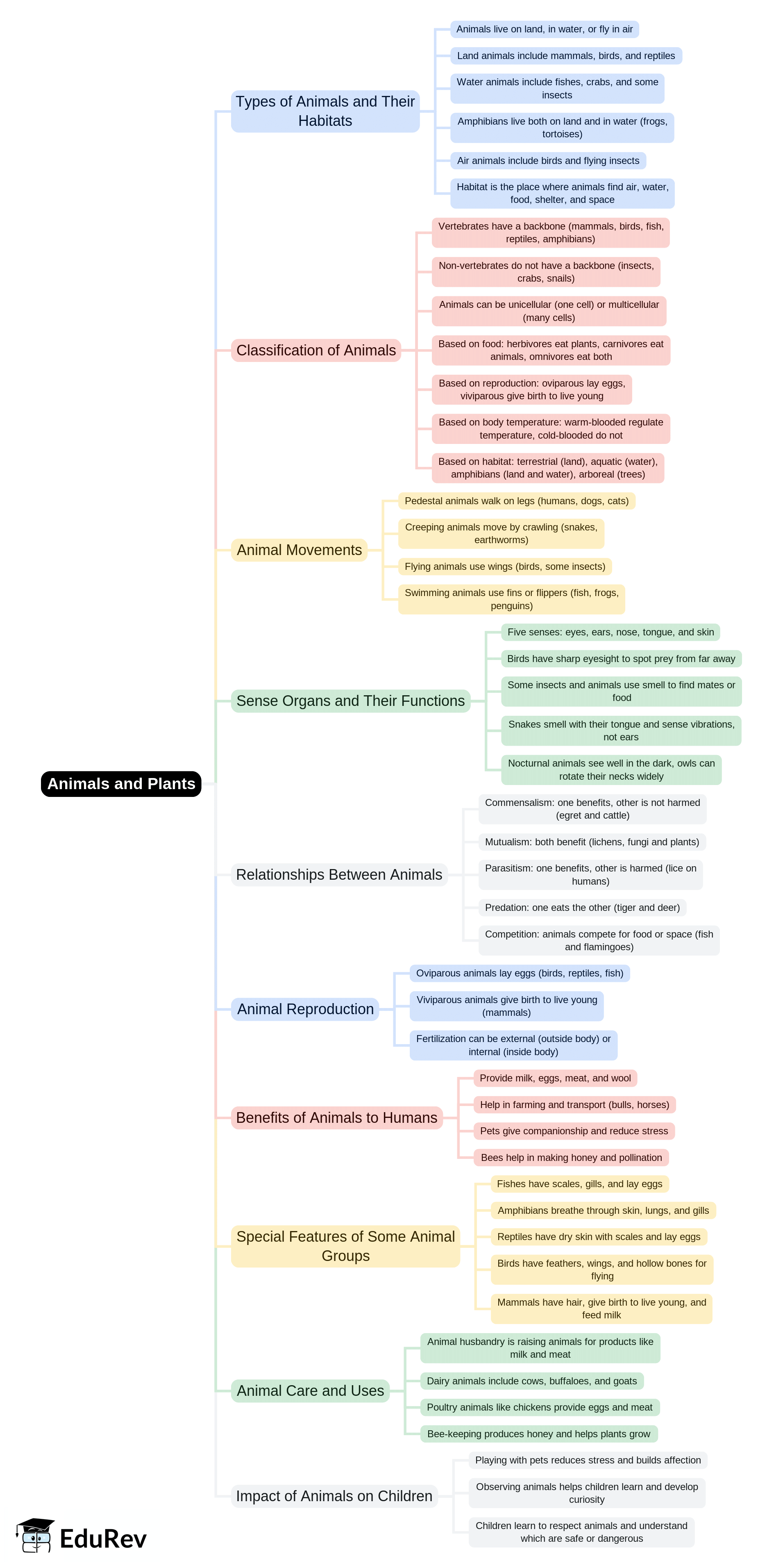 Mind Map: Animals & Plants | EVS & Pedagogy Paper 1 for CTET & TET Exams - CTET & State TET