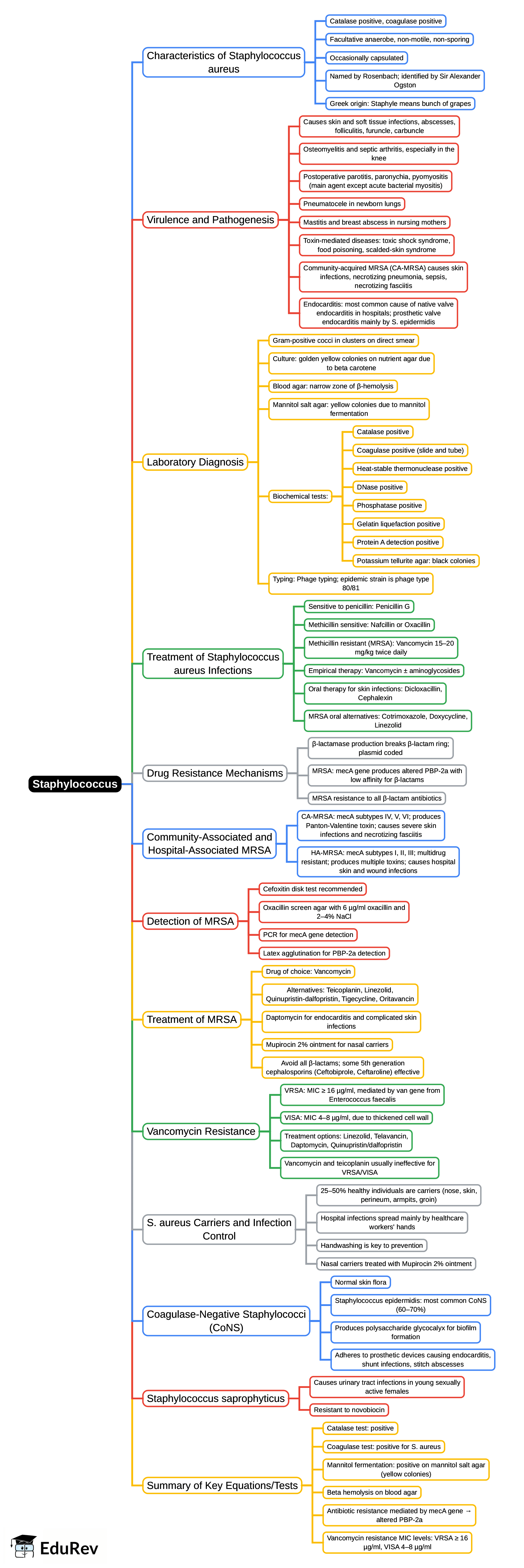 Mind Map: Staphylococcus | Microbiology - NEET PG
