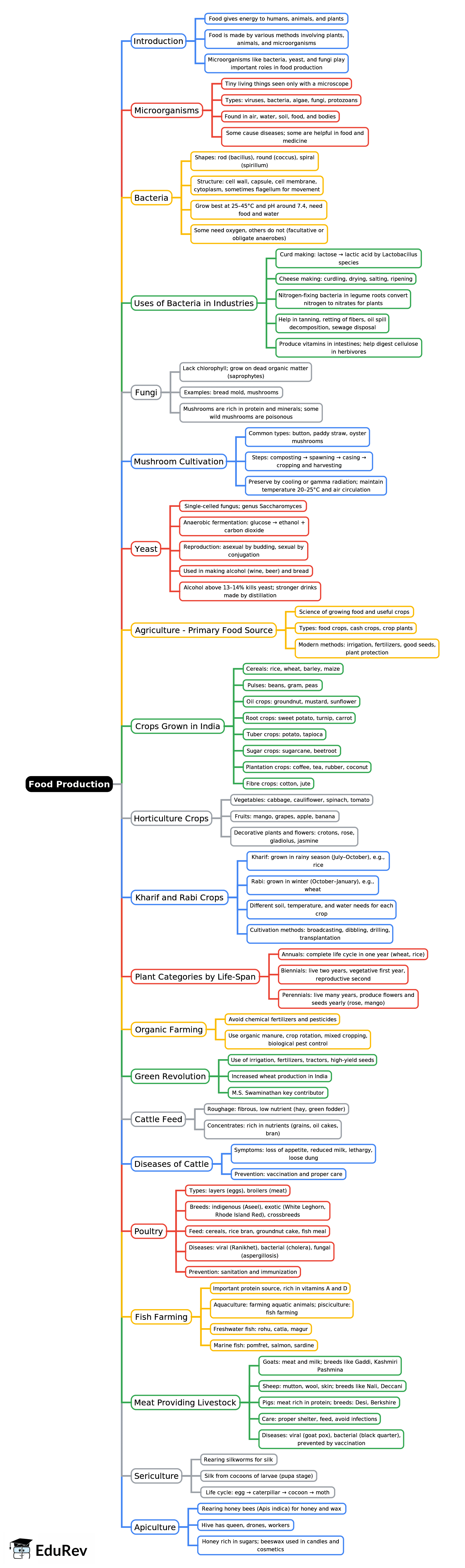 Mind Map: Food Production | Biology for Grade 10