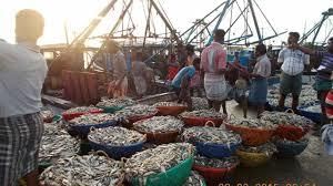 Fishing of Telangana | Telangana State PSC (TSPSC): Preparation Course - TSPSC (Telangana)