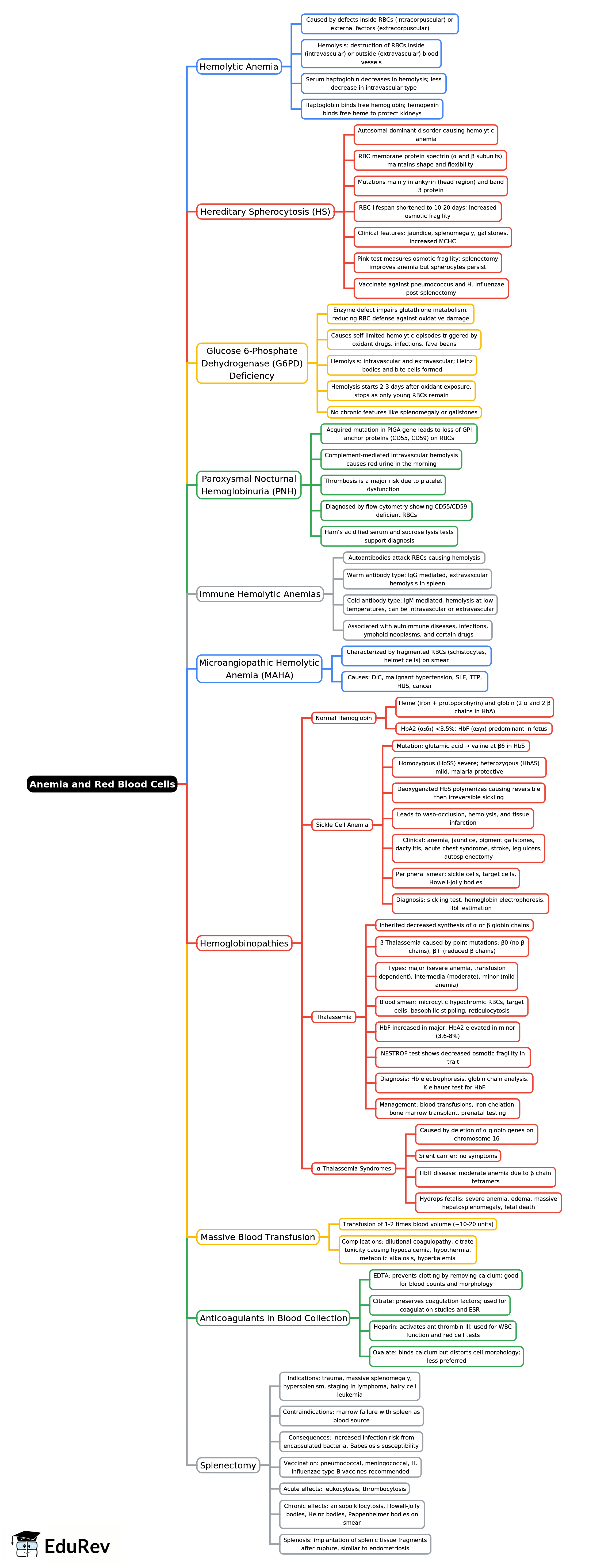 Mind Map: Anemia and Red Blood Cells -2