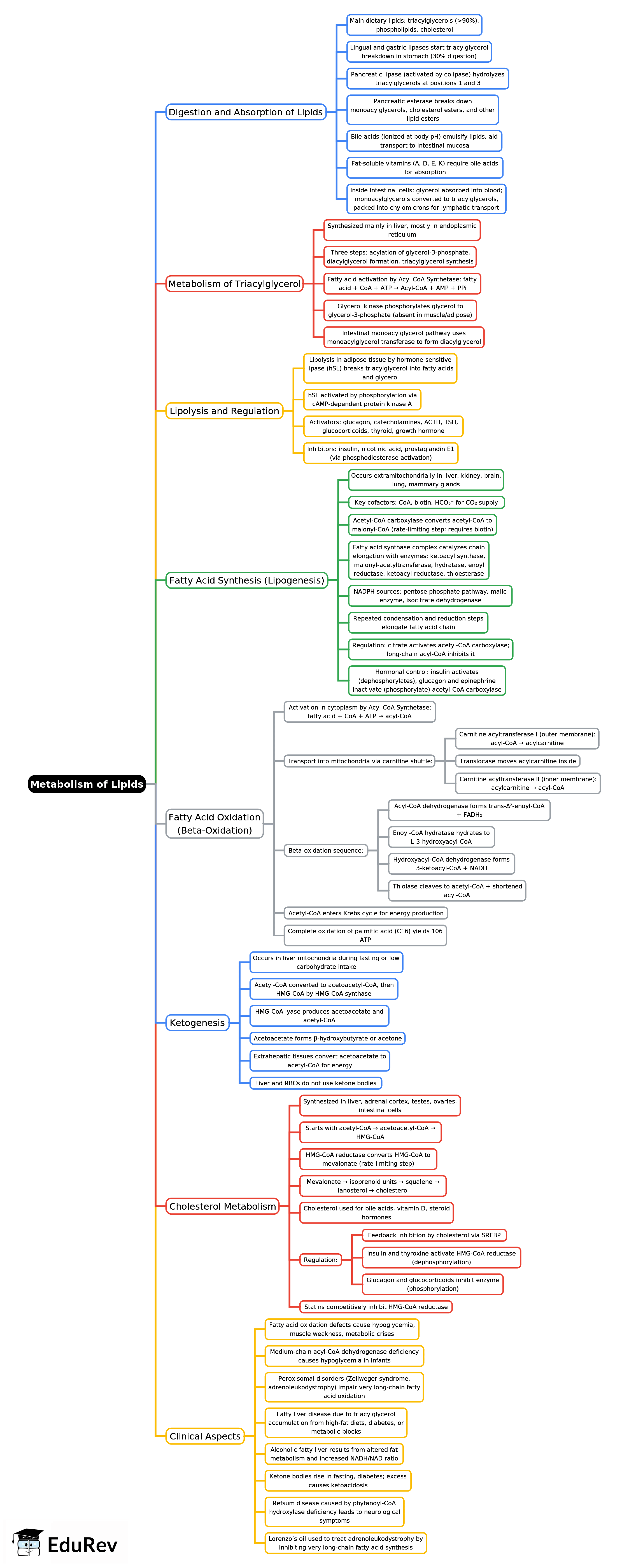 Mind Map: Metabolism of Lipids -1 | Biochemistry - NEET PG