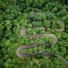 Forest Tourist Places in Andhra Pradesh