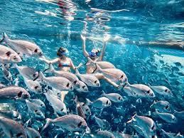 Fishing | APPSC State Specific Preparation Course - APPSC (Andhra Pradesh)