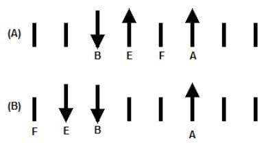 Seating Arrangement Questions for CAT with Answers PDF
