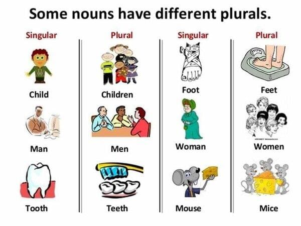 answer Image