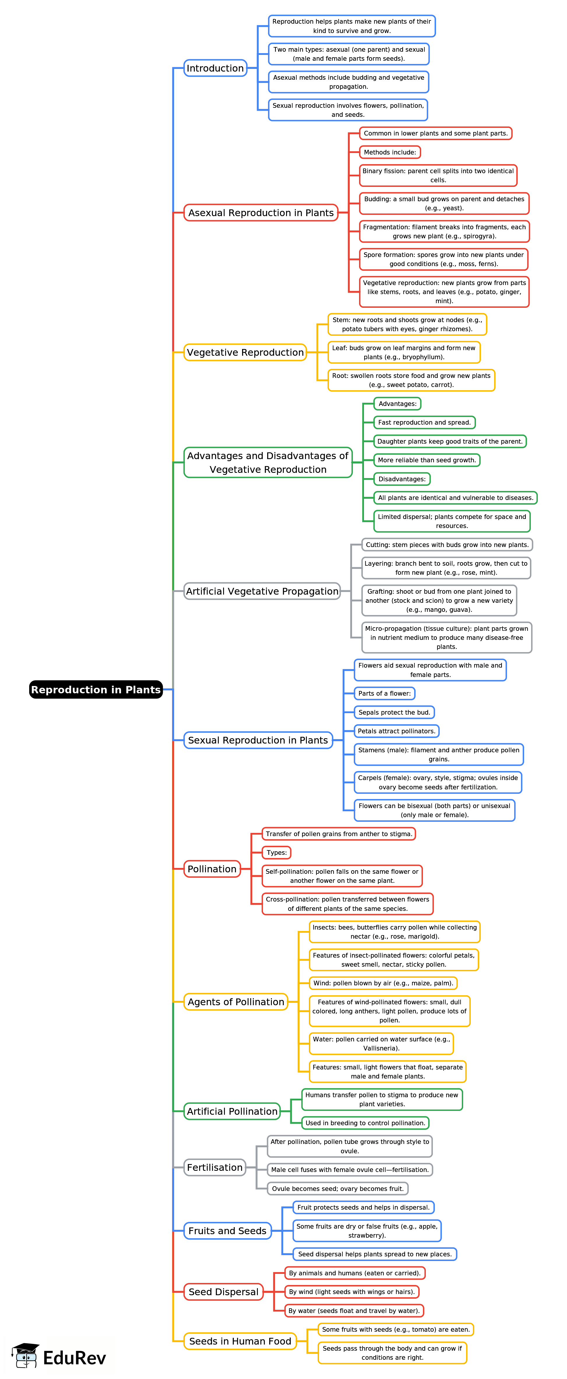 Mind Map: Reproduction in Plants | Biology Class 8 ICSE