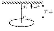 HC Verma Questions and Solutions: Chapter 7- Circular Motion- 1 | HC Verma Solutions - JEE