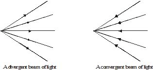 Important,Chapter,Notes,Ray,Optics,Class,10th,Science