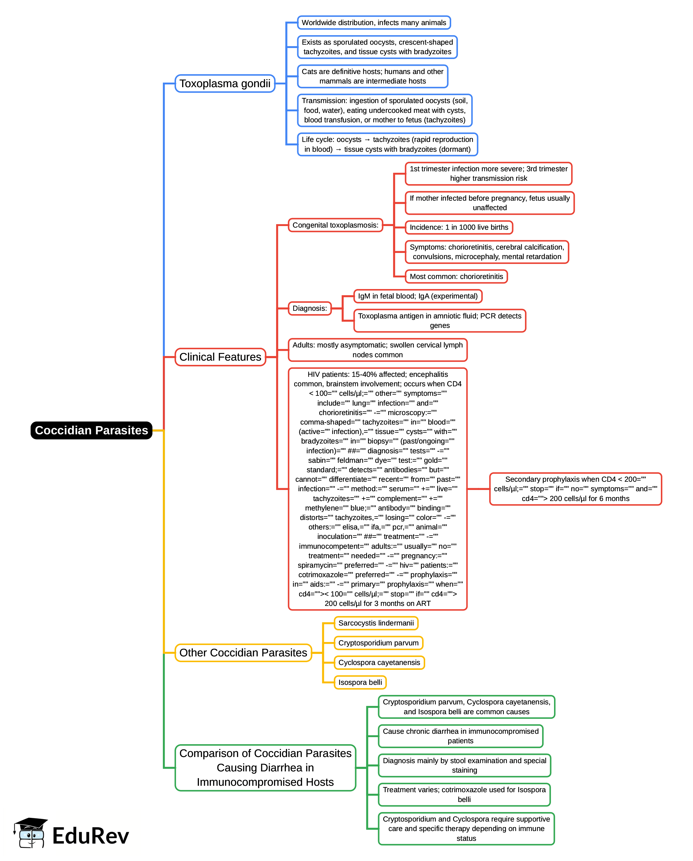 Mind Map: Coccidian Parasites | Microbiology - NEET PG