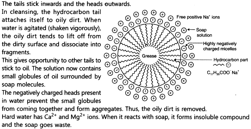 Carbon and its Compounds Important Questions Class 10 Science