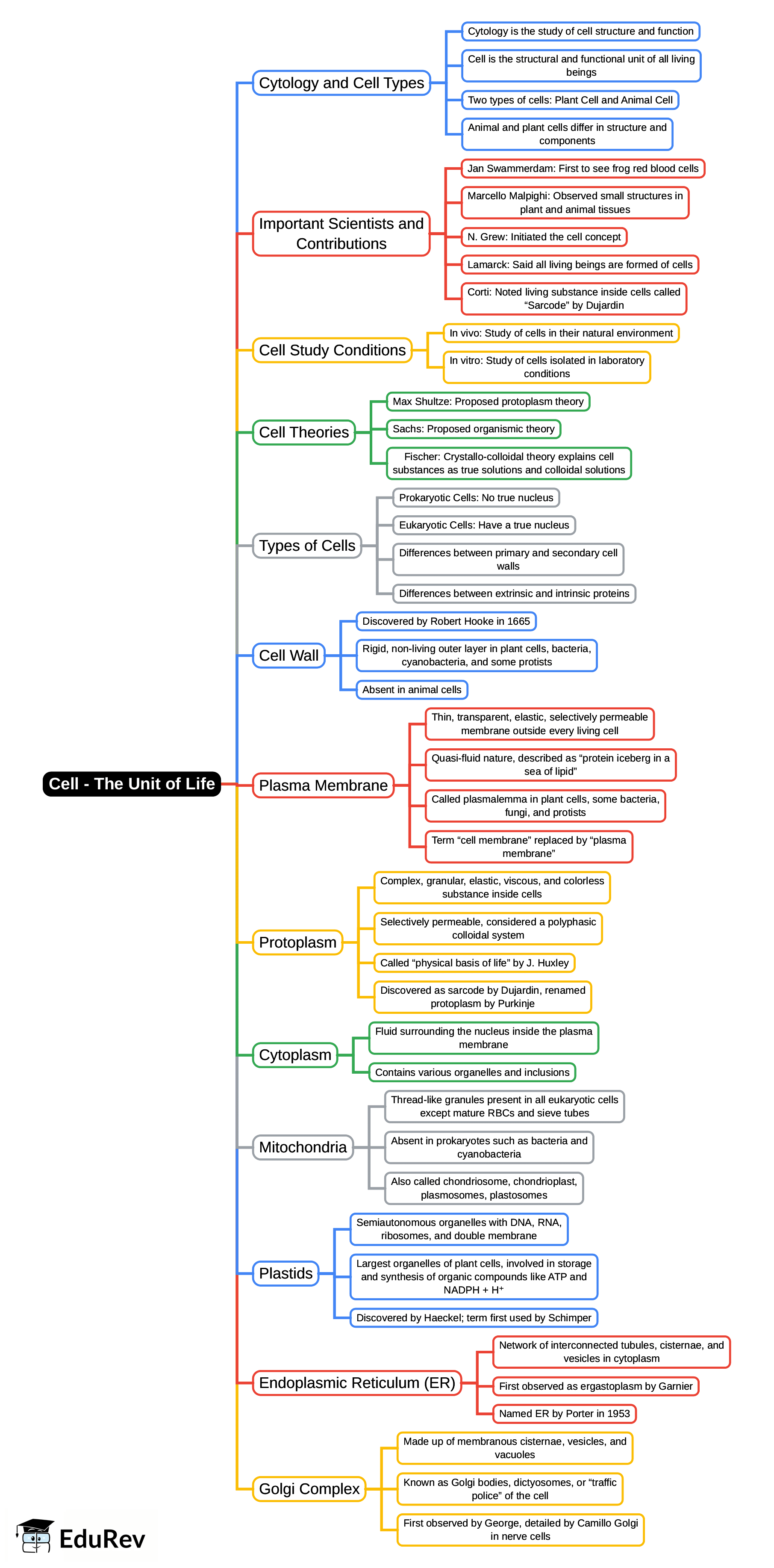 Cell - The Unit of Life Mind Map - NEET PDF Download