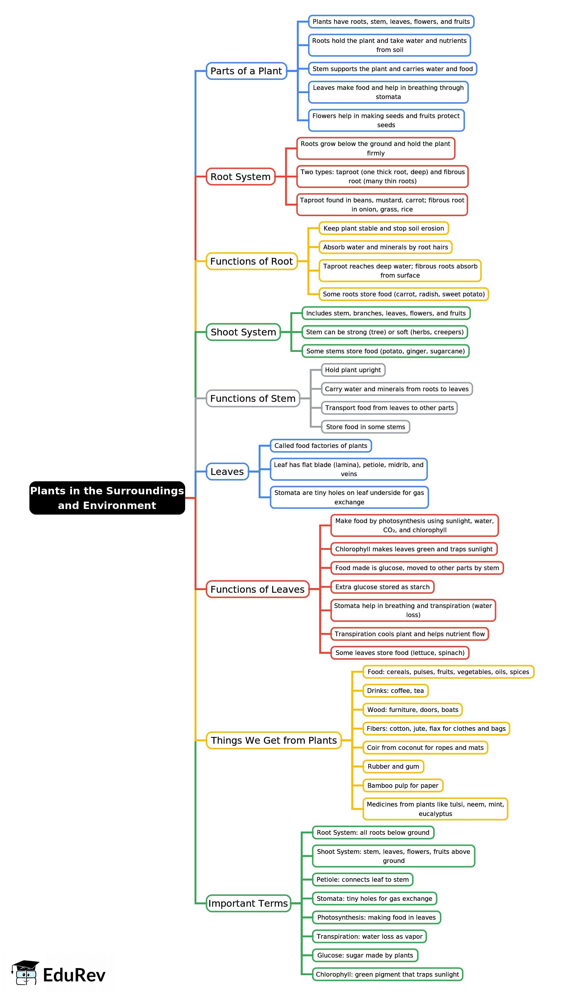 Mind Map: Plants in the Surroundings and Environment | Science Class 4 ICSE