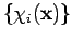 $\{\chi_i({\bf x})\}$