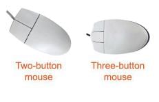 Mouse: An Input Device Chapter Notes | Computer Studies Class 2 ICSE