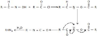 CBSE, Class 12, IIT JEE, Syllabus, Preparation, AIPMT, NCERT, Important, Amines, Compounds containing Nitrogen