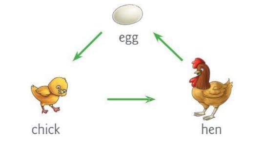 Human Body Chapter Notes | Year 1 Science IGCSE (Cambridge) - Class 1