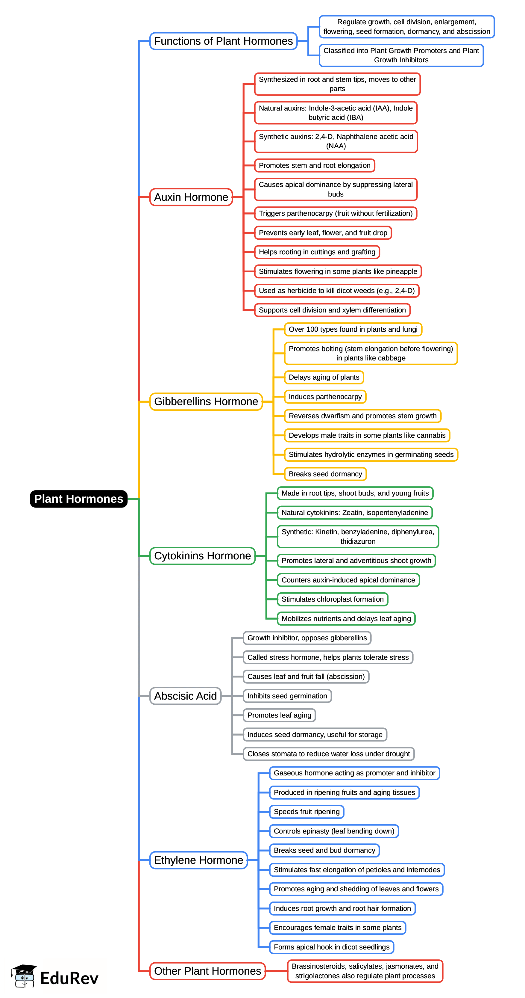 Mind Map: Plant Hormones | General Awareness for SSC CGL