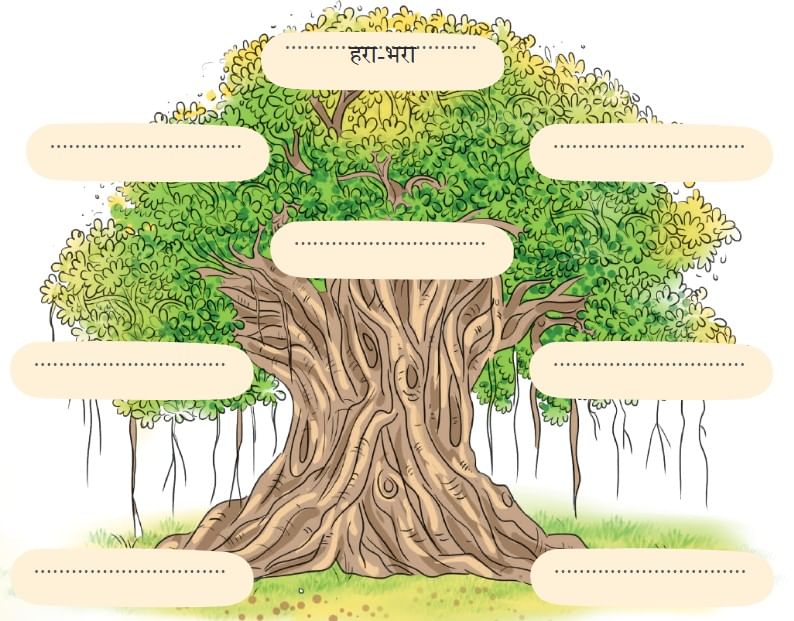 NCERT Solutions for Class 4 Hindi Chapter 3 - नीम