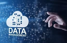 Managing Data | Year 8 Computing IGCSE (Cambridge)
