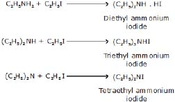 CBSE, Class 12, IIT JEE, Syllabus, Preparation, AIPMT, NCERT, Important, Amines, Compounds containing Nitrogen