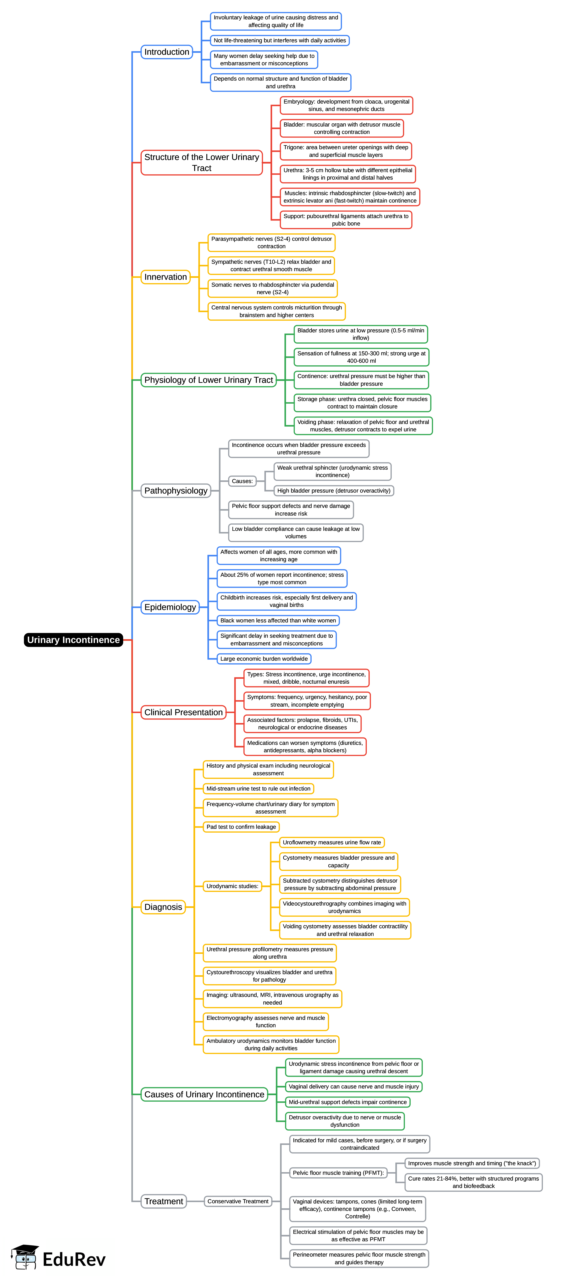 Mind Map: Urinary incontinence - 1