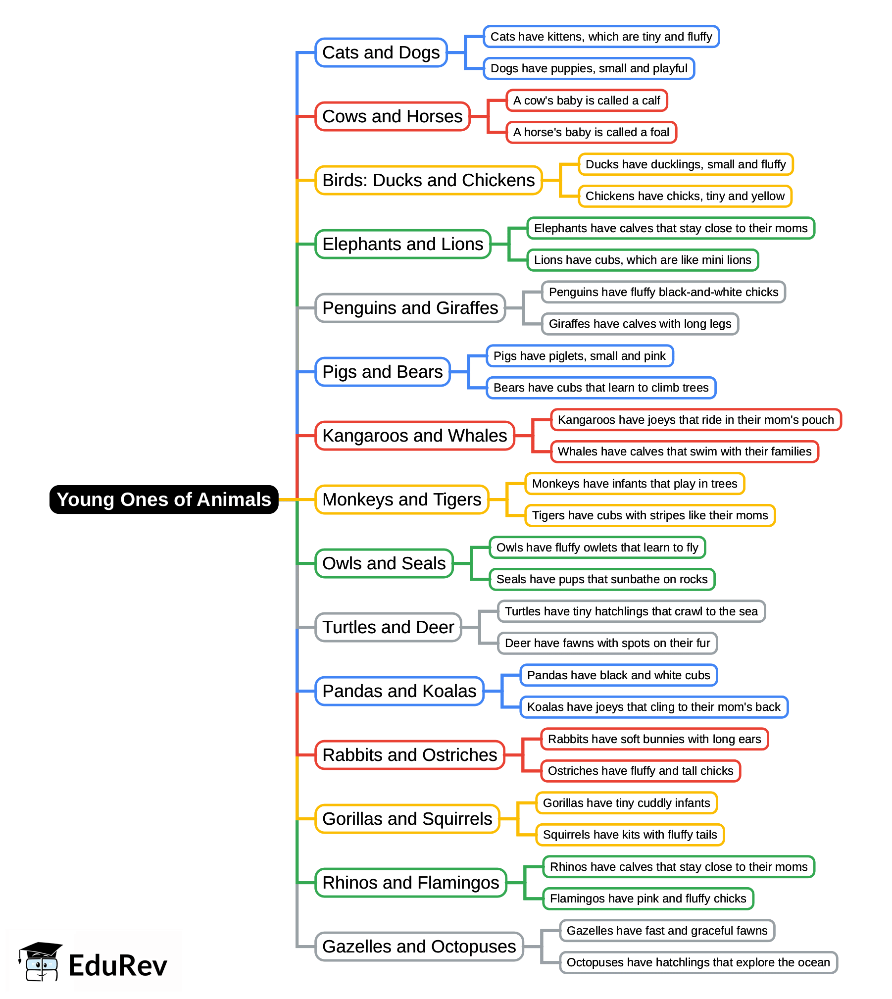 Mind Map: Young Ones of Animals