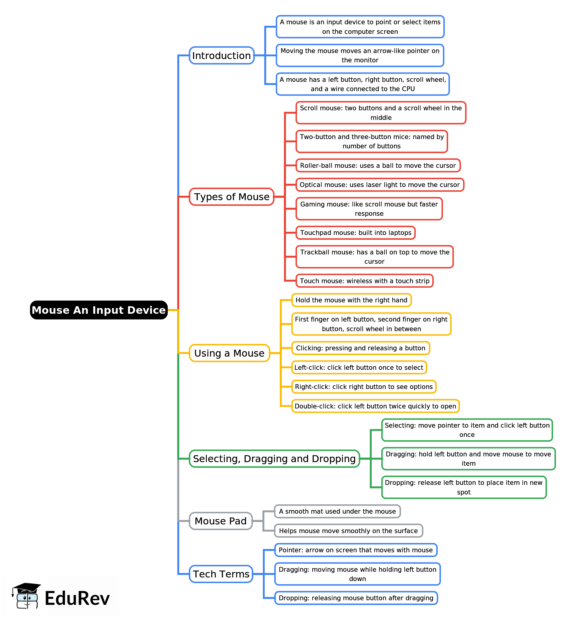 Mind Map: Mouse: An Input Device | Computer Studies Class 2 ICSE