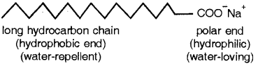 Carbon and its Compounds Important Questions Class 10 Science