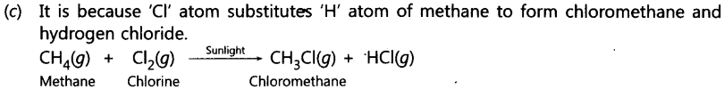 Carbon and its Compounds Important Questions Class 10 Science