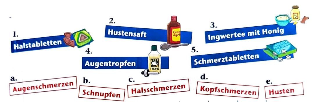 Stefan, wie geht’s dir? Chapter Notes | Learn German (Hallo Deutsch 3) - Class 8