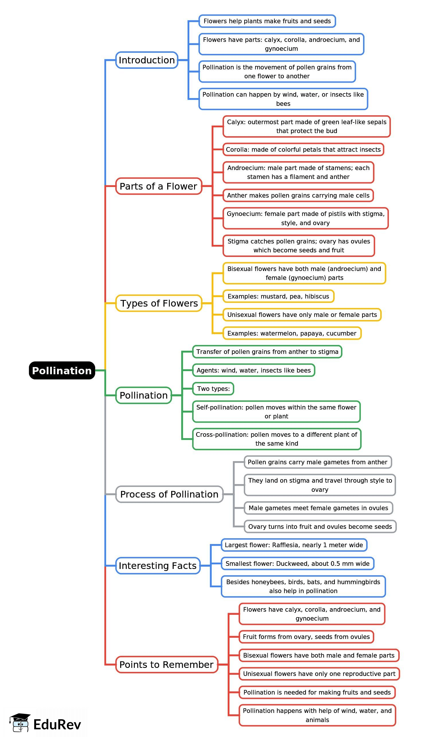 Mind Map: Pollination | Science Class 5 ICSE