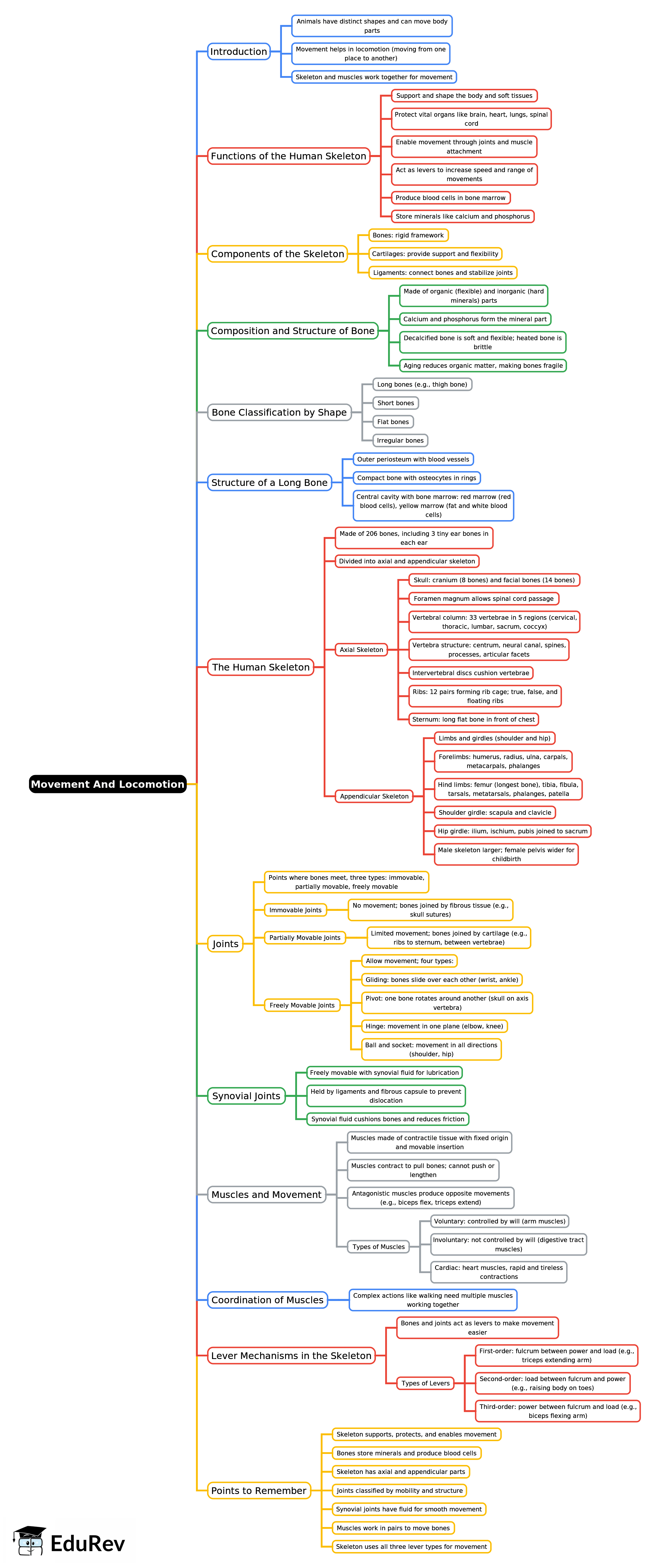Mind Map: Movement And Locomotion | Biology Class 9 ICSE